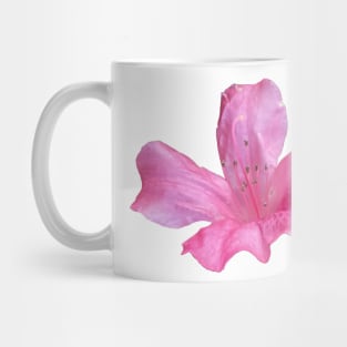 Azalea Flower Mug